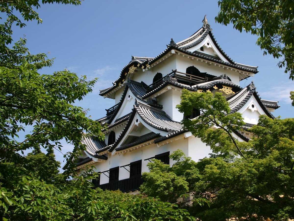 Business Hotel Serikawa Hikone Eksteriør bilde